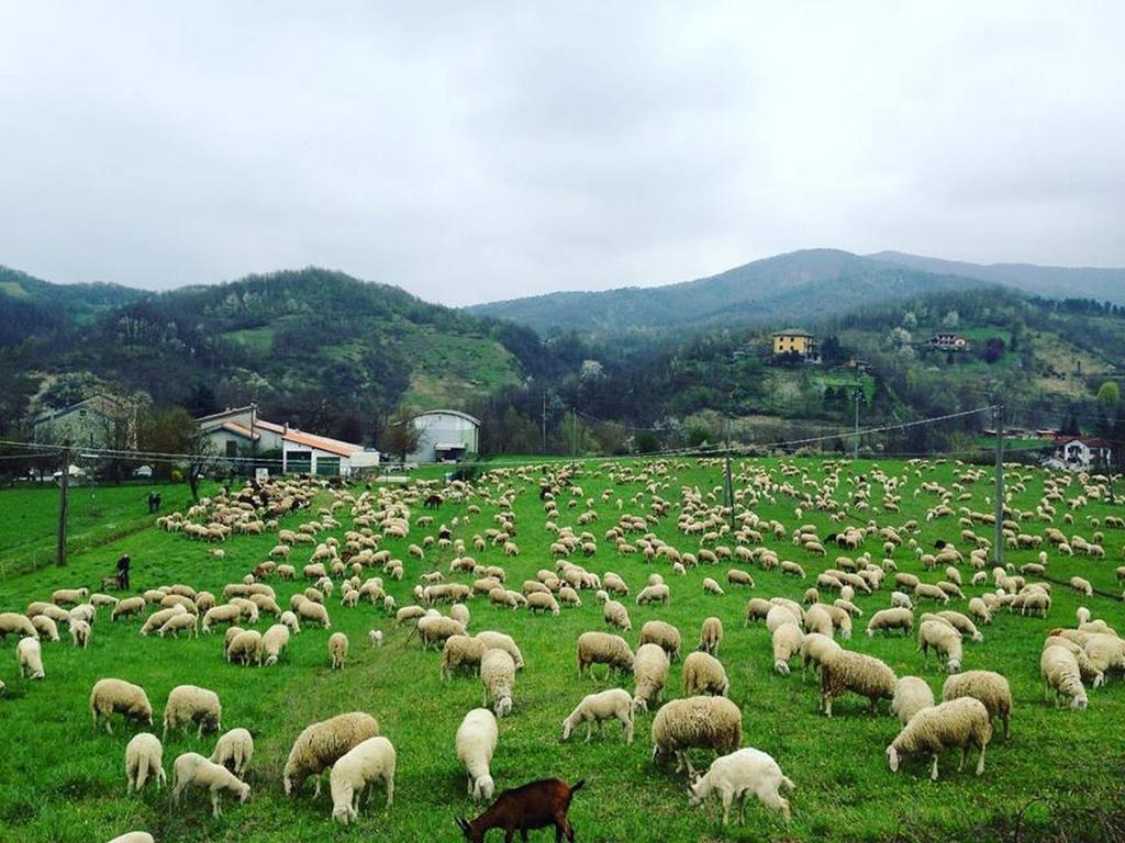 B&B Cascina Santa Gavi Εξωτερικό φωτογραφία