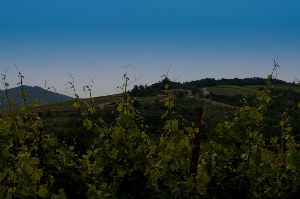 B&B Cascina Santa Gavi Εξωτερικό φωτογραφία
