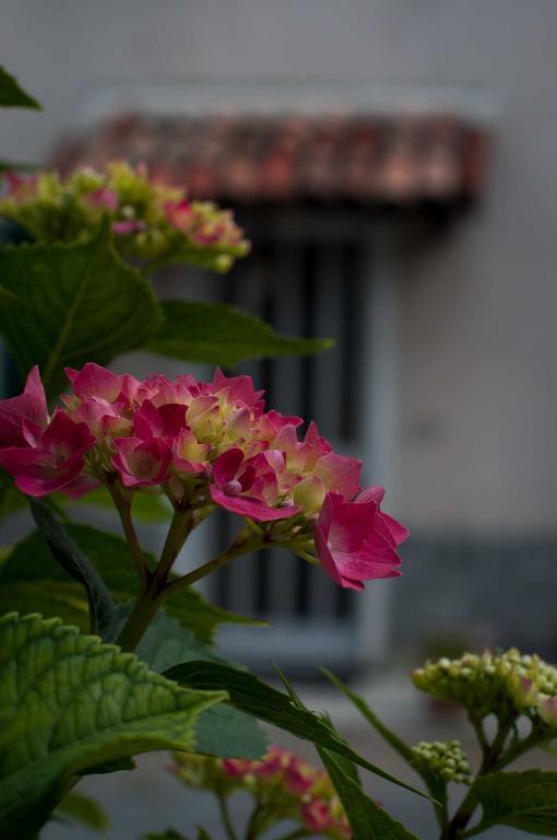 B&B Cascina Santa Gavi Εξωτερικό φωτογραφία