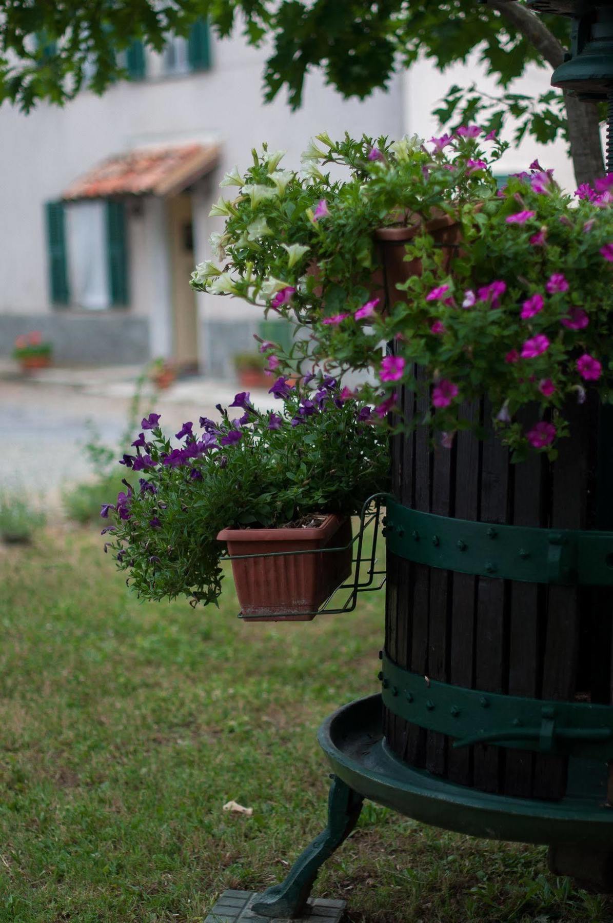B&B Cascina Santa Gavi Εξωτερικό φωτογραφία